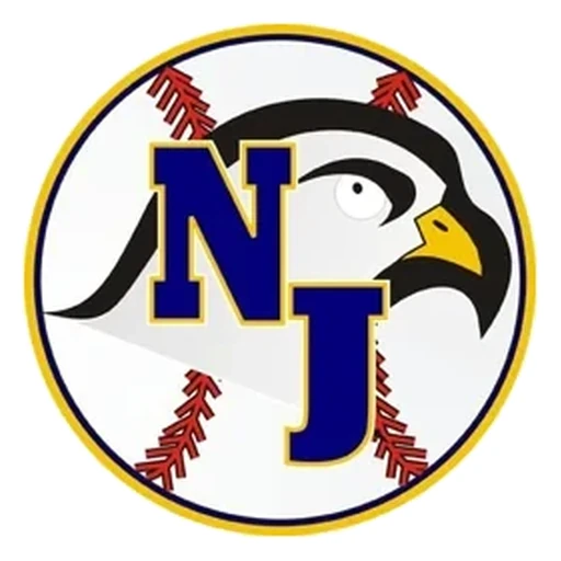 North Jersey Eagles logo