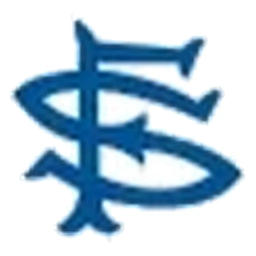 San Francisco Seagulls logo