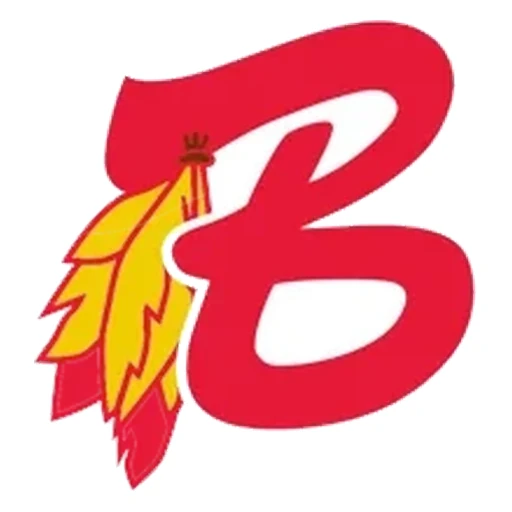 Bourne Braves logo