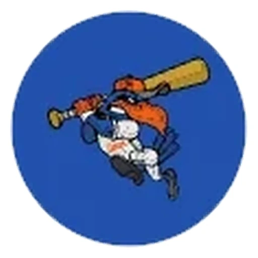 Hyannis Harbor Hawks logo