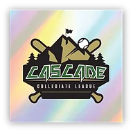 CCL Salamanders logo