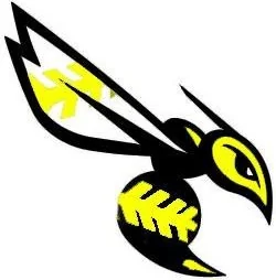 Valley Center Mud Daubers logo