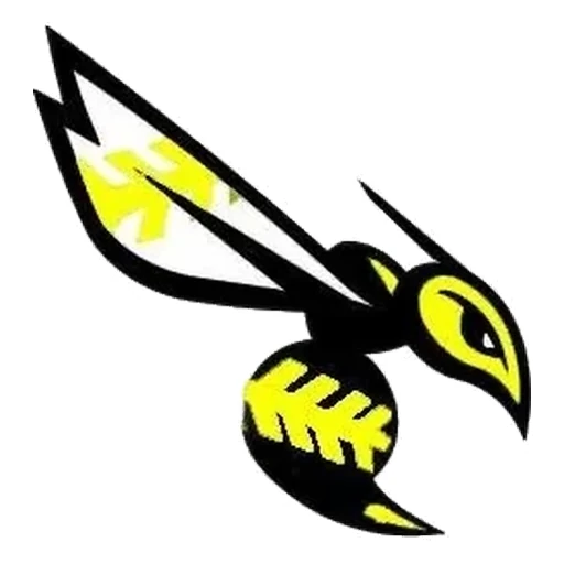 Valley Center Mud Daubers logo