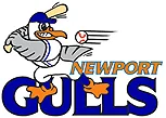 Newport Gulls logo