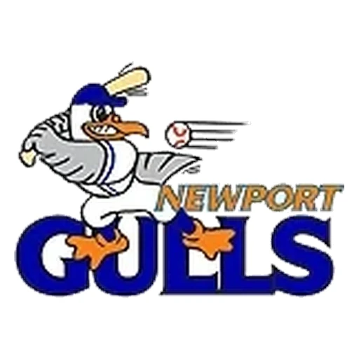 Newport Gulls logo