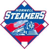 Hornell Steamers logo
