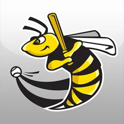 Willmar Stingers logo