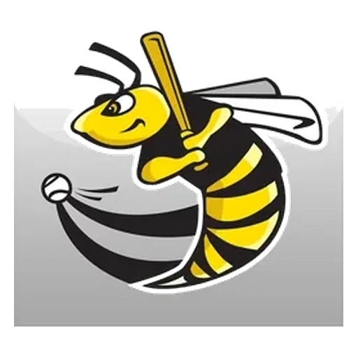 Willmar Stingers logo