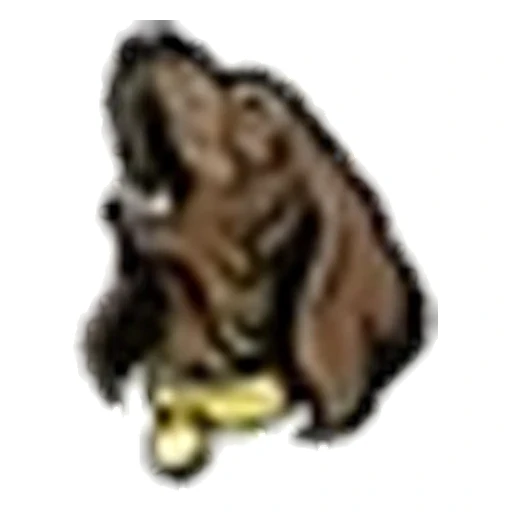 Waynesville Hollers logo