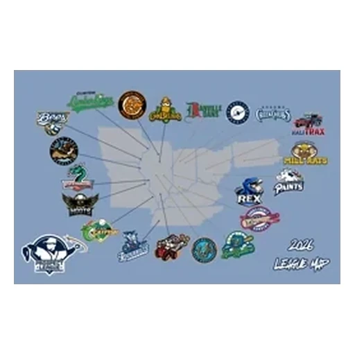 Danville Dans logo