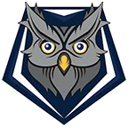 Nanaimo NightOwls logo