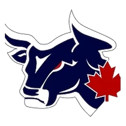 Lethbridge Bulls logo